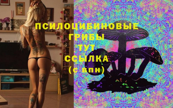 марки nbome Арсеньев