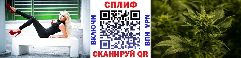 Конопля семена Опочка